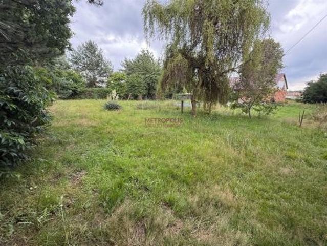 Jankowice, ul. Nowa, 870 m² Działka