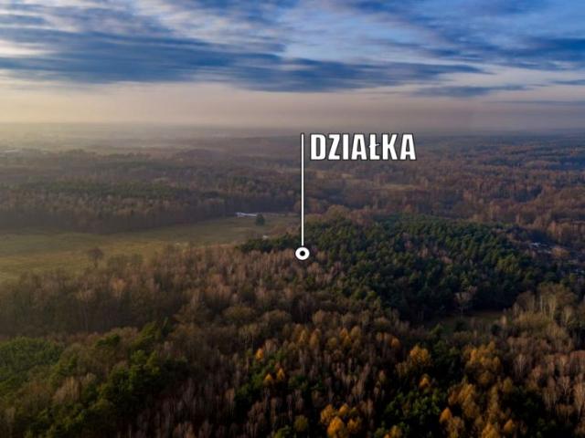 Jagodowa 79 914 m², Nieborowice