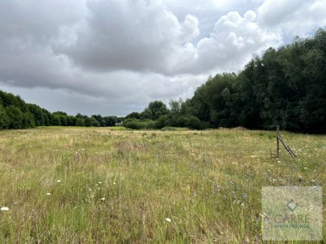 Jagodowa 1 088 m², Żarowo