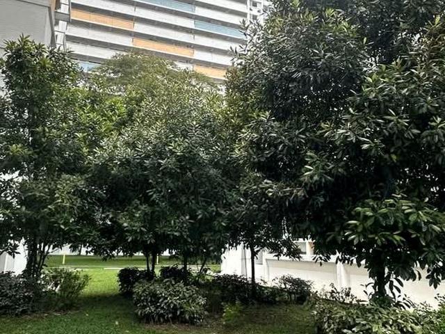 Jalan Teck Whye Choa Chu Kang, HDB 5 Rooms