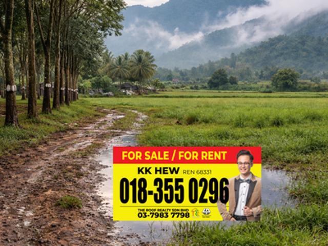 Jalan Broga