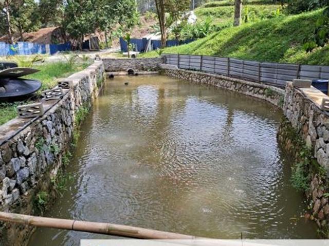 Jalan Broga