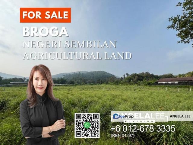 Jalan Broga