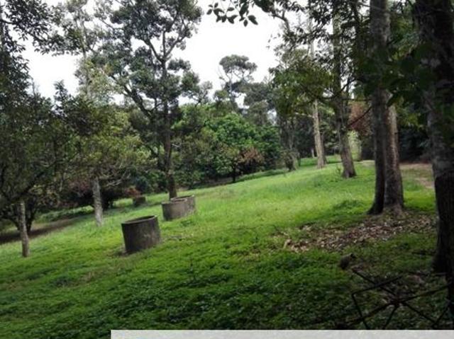 Jalan Broga