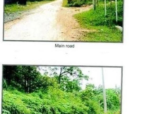 Jalan Bukit Cherakah