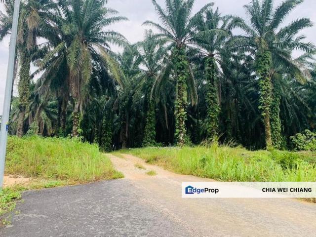 Jalan Gelang Patah