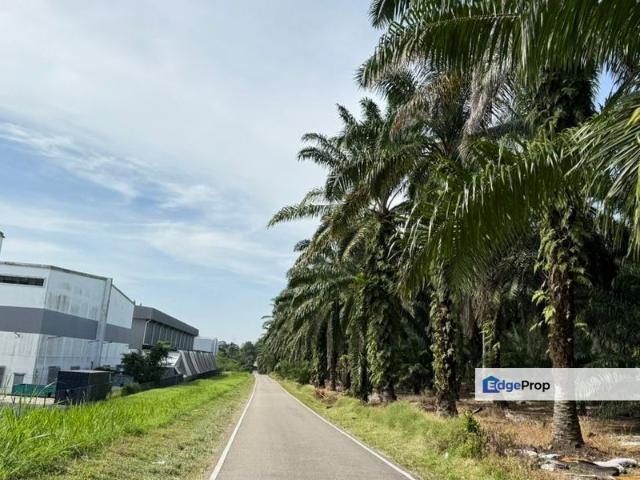 Jalan Gelang Patah