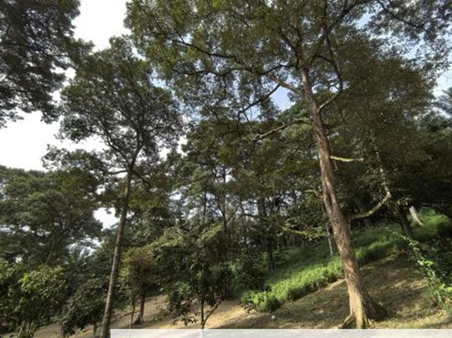 Jalan Kota Tinggi
