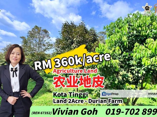 Jalan Kota Tinggi