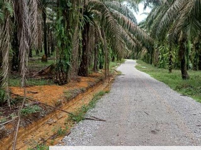 Jalan Kota Tinggi