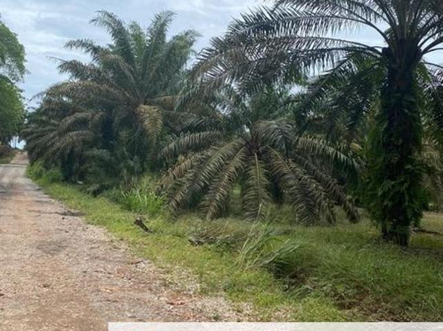 Jalan Kota Tinggi