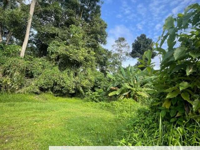 Jalan Nong Chik