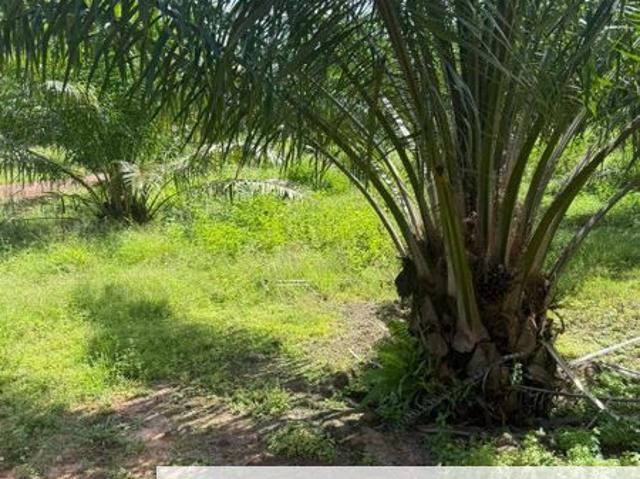 Jalan Pahang
