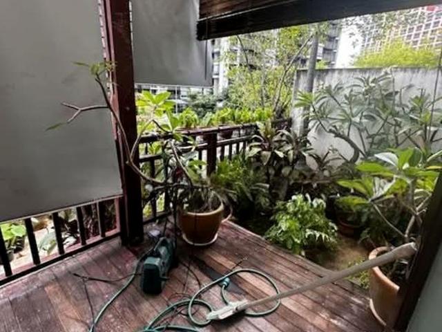 Jalan Punai D14, Terrace