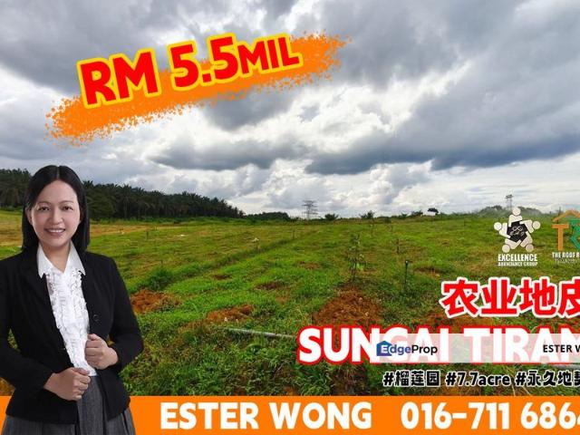 Jalan Sungai Tiram