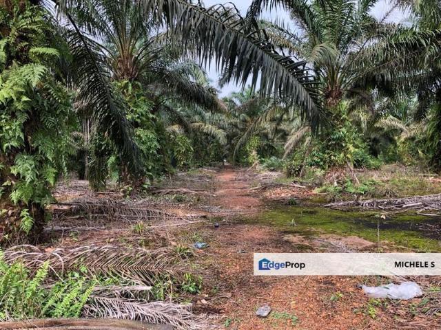 Jalan Sungai Tiram