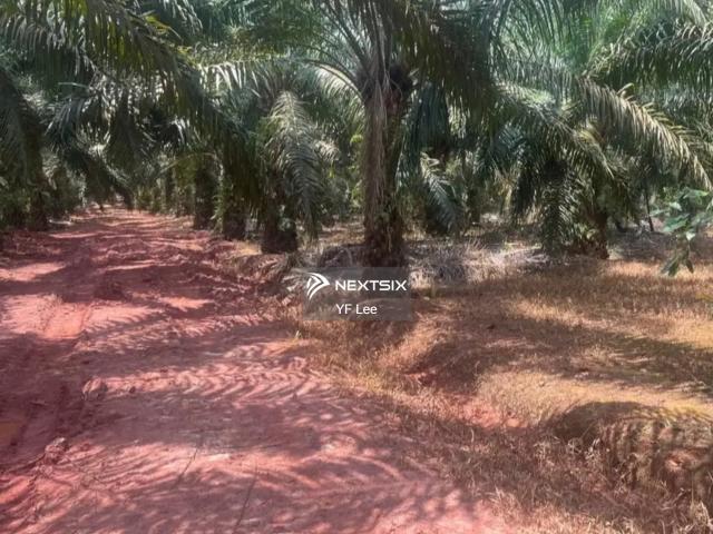Jalan Suria Corner 2 Storey Bungalow For Sale