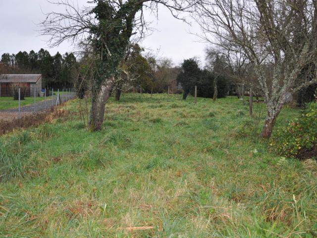 Jaligny sur Besbre Vente Terrain 03