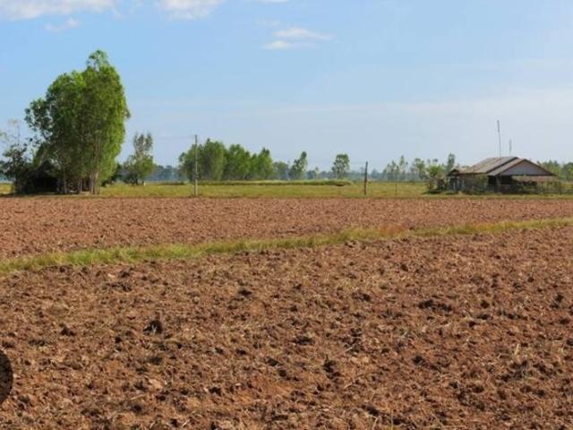 5458 Sq.Yd. Plot in Thol Mehsana Listing ID: #8888