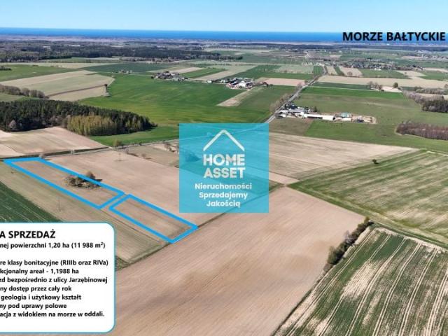 Jarzębinowa 11 988 m², Sobieńczyce
