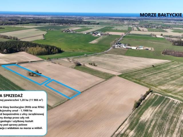 Jarzębinowa 11 988 m², Sobieńczyce