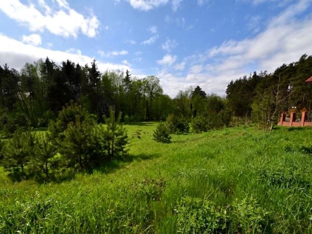 Jarzębinowa 1 170 m², Gołubie