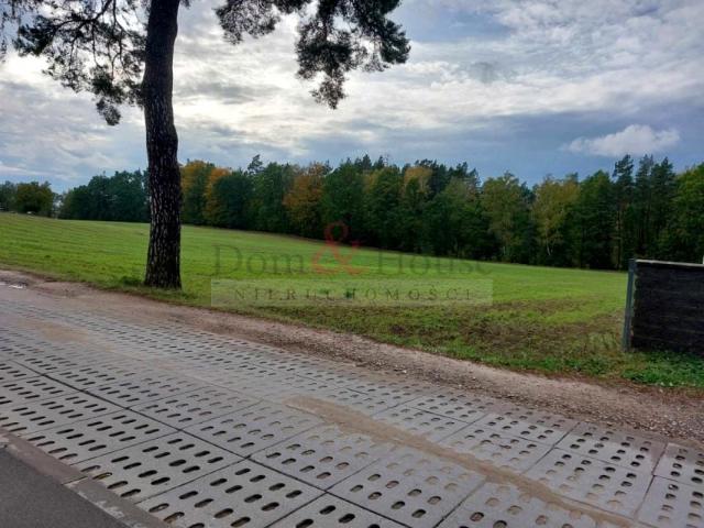 Jarzębinowa 1 500 m², Leźno