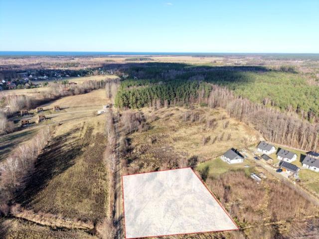 Jarzębinowa 2 980 m², Sasino
