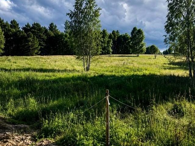 Jarzębinowa 3 444 m², Graniczna Wieś