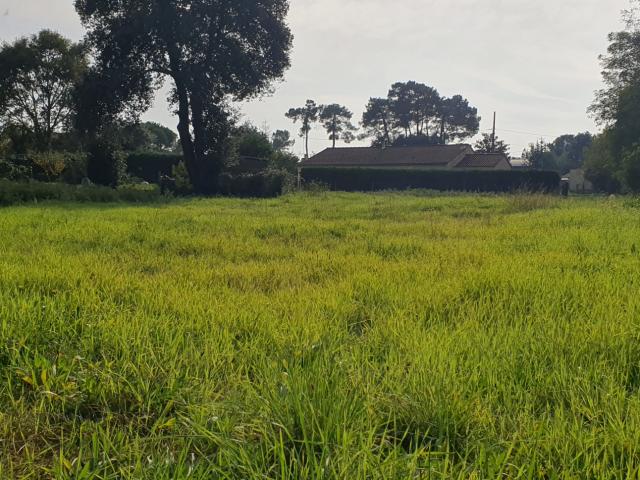 Jard sur Mer Vente Terrain 85