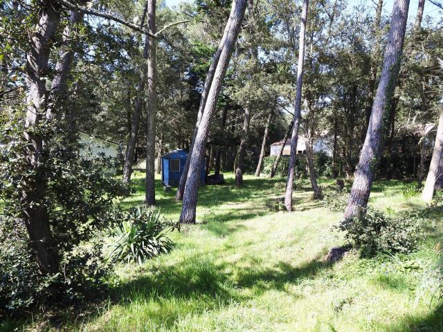Jard sur Mer Vente Terrain 85
