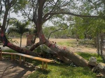 JARDIN EN RENTA EN CHIAPAS, TUXTLA GUITIERREZ