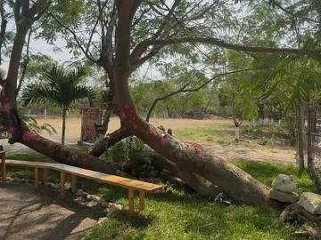 JARDIN EN RENTA EN CHIAPAS, TUXTLA GUITIERREZ