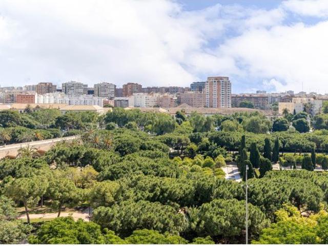 JARDINES DEL TURIA