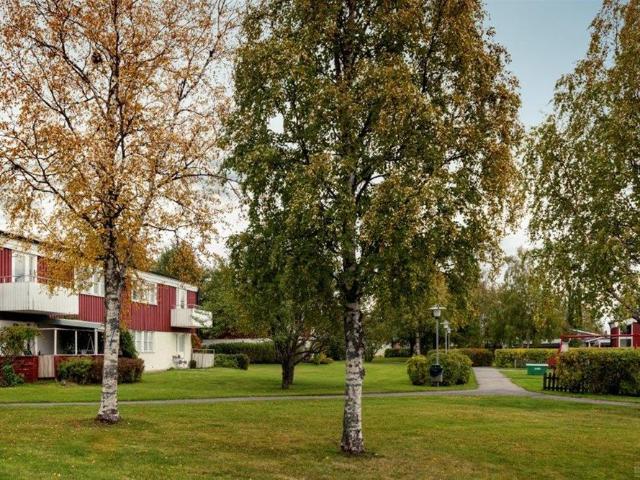 Järnåldersvägen 1