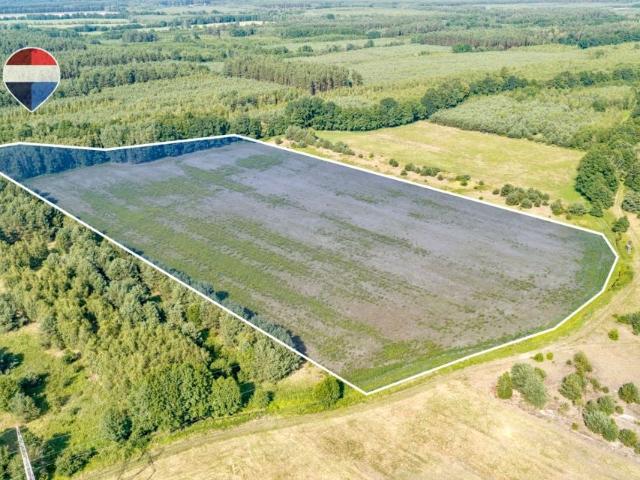 Jarogniewice 52 100 m², Zielona Góra