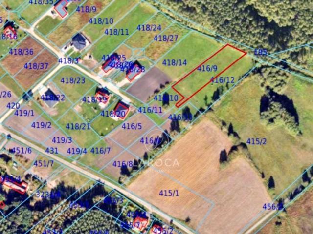 Jastrzębia 2 619 m², Czarne Błoto
