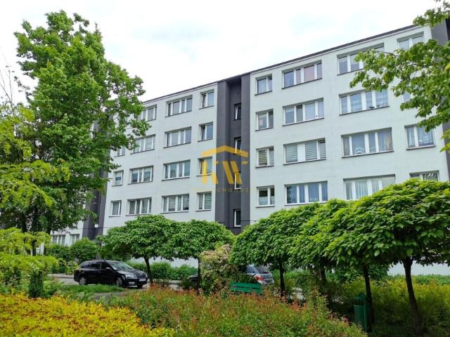 Jastrzębia 46 m², Radom