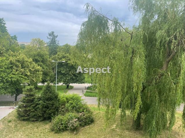 Jastrzębie Zdrój, 34 m2