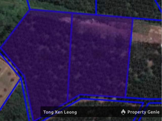 Jasin FREEHOLD Agriculture Land For Sale !
