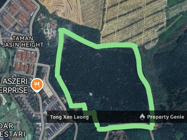 Jasin Height FREEHOLD Agricultural Land For Sale ！！