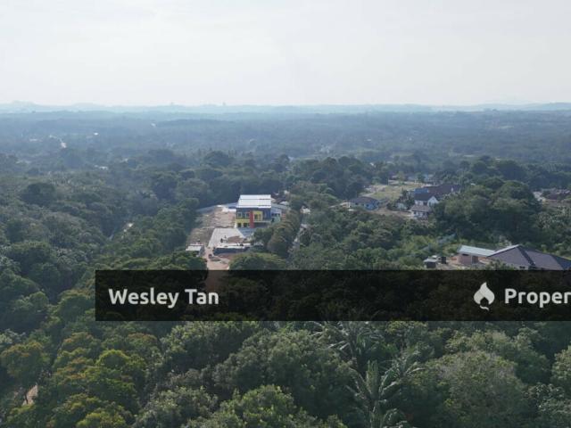 Jasin Jln Tehel Freehold Mainroad 9.9acres Matured Palm Oil Agri Land
