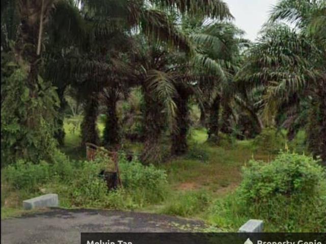 Jasin,Nyalas