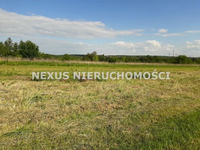 Jaskółcza 1 396 m², Dąbrowa Górnicza