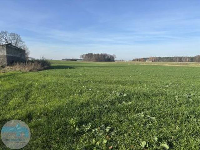 Jaskółowo, 61600 m² Działka