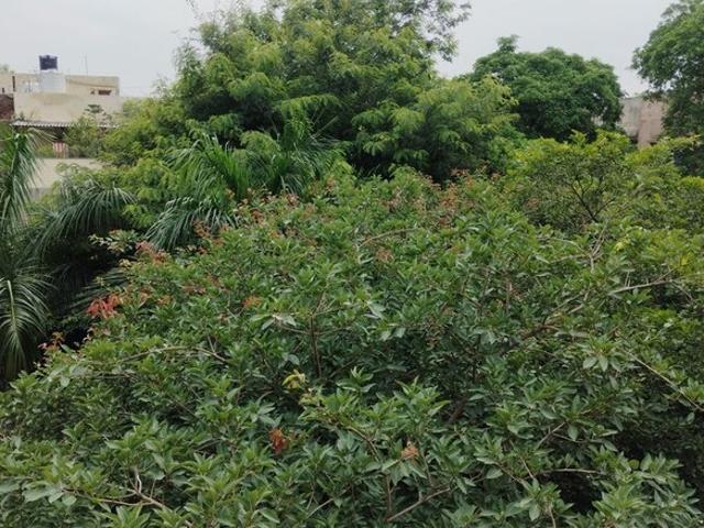 Jasola 4 Bedroom 3500 Sq. Ft. Builder Floor in Jasola Delhi Listing ID: #10233