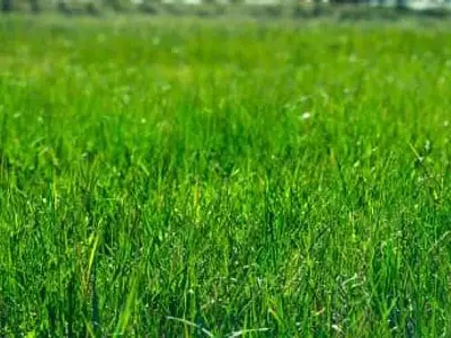 Jaunay Marigny 86130 Programme neuf terrain neuf à vendre