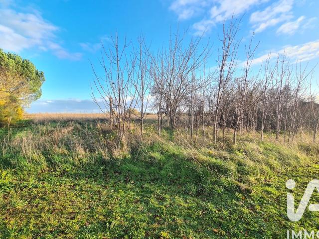 Jaunay Marigny Vente Terrain 86