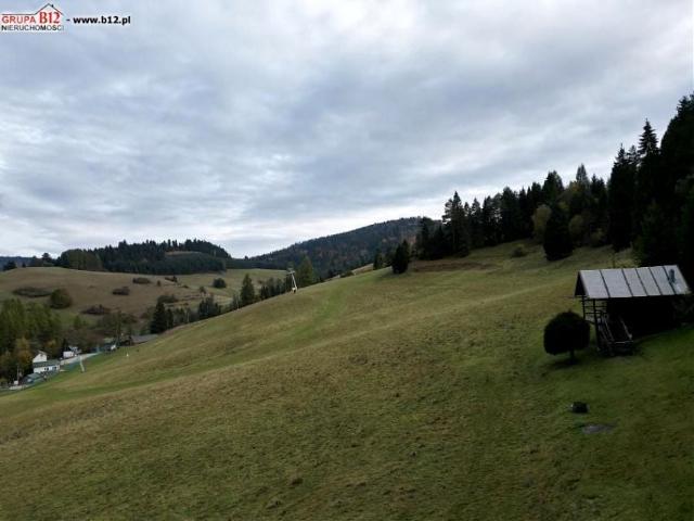 Jaworki 5 015 m², Szczawnica