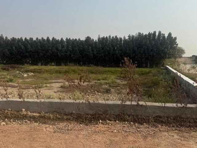 JDIA Dream City 150 Sq. Yd. Plot in Jewar Greater Noida Listing ID: #10104